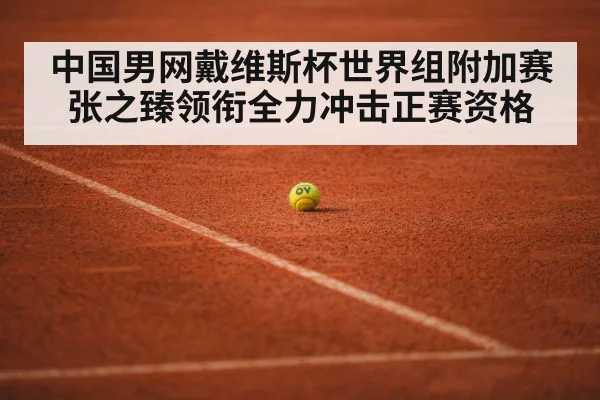 中国男网戴维斯杯世界组附加赛张之臻领衔全力冲击正赛资格